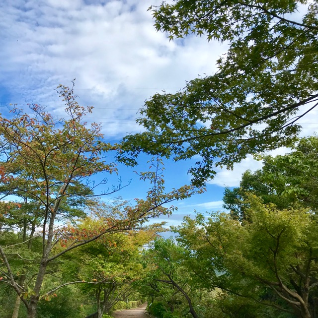 20190927　遊歩道